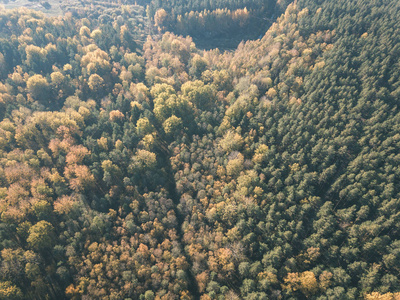 无人机图像。秋日阴天有田野和森林的农村鸟瞰，有黄色的秋天树。老式的旧电影外观