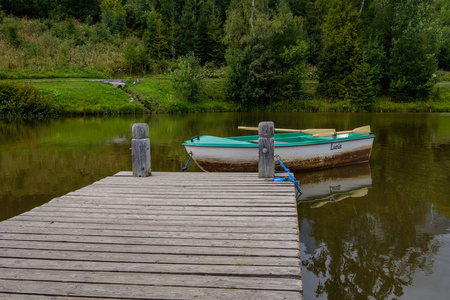 森林湖木墩和船的风景镜头