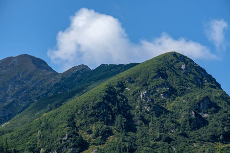 西部喀尔巴阡山全景在晴朗的一天与旅游徒步小径和绿色森林周围。斯洛伐克塔特拉