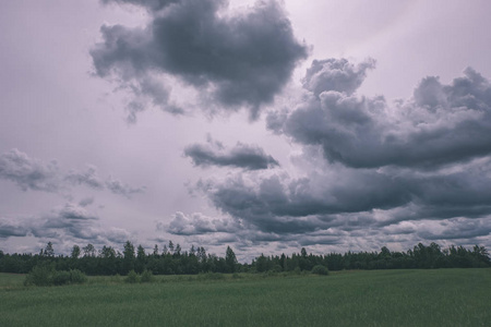 绿色草地上的暴风雨云和夏天的一些树