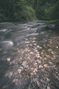 夏季长露岩山河，森林中高水位，有树木和沙的前景，海岸老式老电影外观