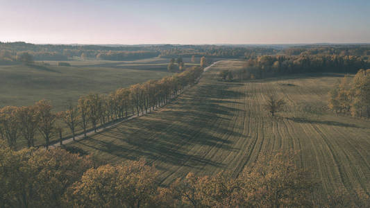 无人机图像。鸟瞰农村地区的田野和森林在多云的秋日与黄色的秋天树日。拉脱维亚老式老电影