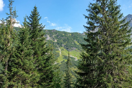 夏季绿林和山地景观