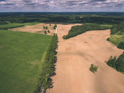 无人机图像。多云春日农村地区田野森林和河流水反射的鸟瞰图。拉脱维亚老式老电影