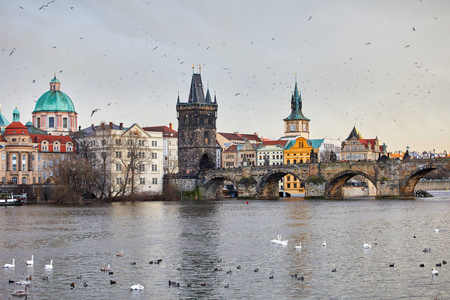 布拉格捷克共和国美丽的景色，德沃拉克河堤，伏尔塔瓦河和老城布拉格。 捷克共和国布拉格中心的全景。