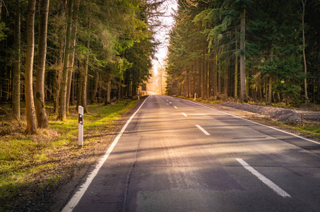 乡村道路在早晨的阳光下