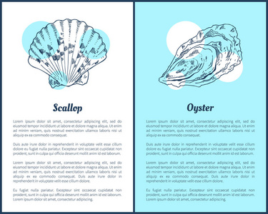 扇贝和牡蛎海洋生物海报