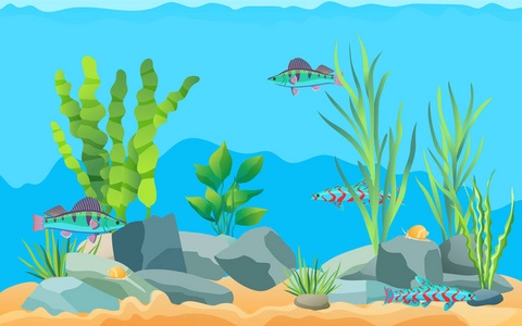 五颜六色的水族馆鱼在碧水宣传海报。 五彩海动物绿水植物和底部石头平面卡通矢量插图。
