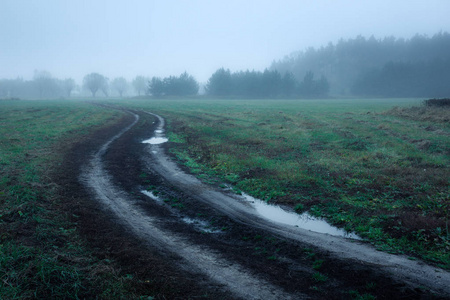 在波兰的马索维亚某处的雾灰色早晨