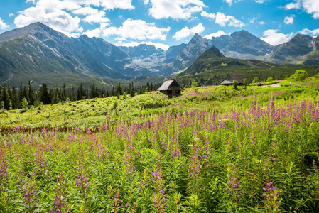 波兰履带的大厅里，塔特拉山，扎科帕