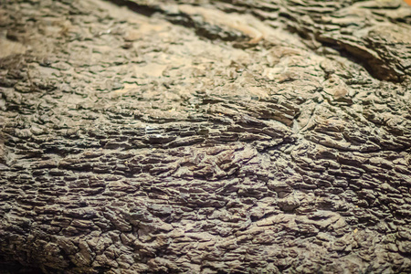 油母页岩摄影图