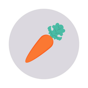 胡萝卜蔬菜食品插图