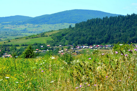 鸟瞰村的拉科斯特兰西瓦尼亚罗马尼亚，一个村庄在布拉索夫县附近，一个活跃的和三个废弃的石头职业。 它是国家保护区