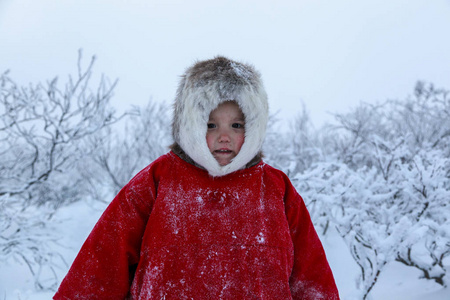 一个住在冻土带的土著居民在遥远的北方冻土带开放地区,小女孩骑在