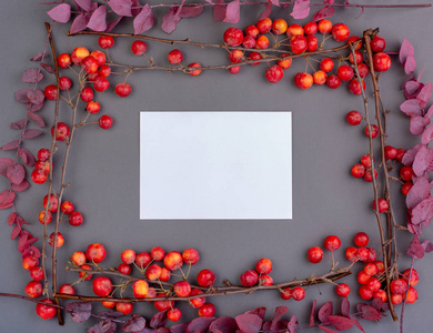 秋天的扁平与红色苹果和秋天的叶子在紫色在灰色的背景。顶部视图。空白贺卡, 用于创造性的工作设计。平躺