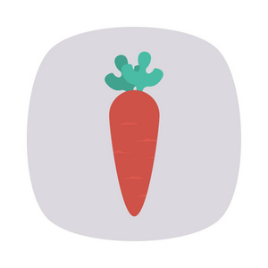 胡萝卜蔬菜食品插图