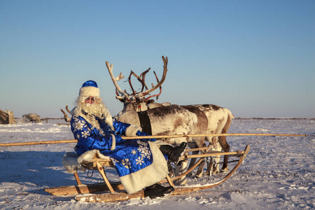 圣诞节主题销售快乐圣诞老人在一个雪林圣诞老人的背景下，一个冬天的森林，俄罗斯圣诞老人祖父弗罗斯特圣诞老人接近他的驯鹿在马具。