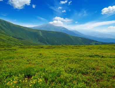 夏天的山景