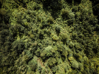 空中无人机照片，乡村森林俯视图在阳光明媚的夏日背景材料