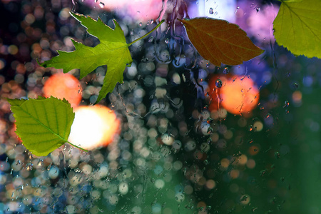 在雨天的背景下，秋天的叶子在潮湿的窗户上