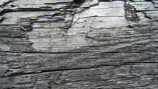 抽象裂纹木板背景。 木质纹理