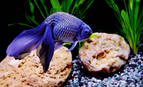 由部分摄影图-由部分图片大全-由部分照片-摄图新视界