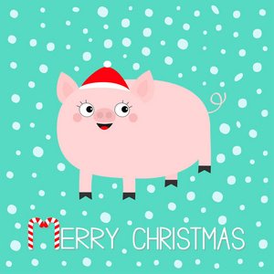小猪猪。 猪猪母猪动物。 可爱的卡通有趣的婴儿角色。 圣诞快乐。 圣诞老人帽。 中国象征2019年新年。 十二宫星座。 平面设计