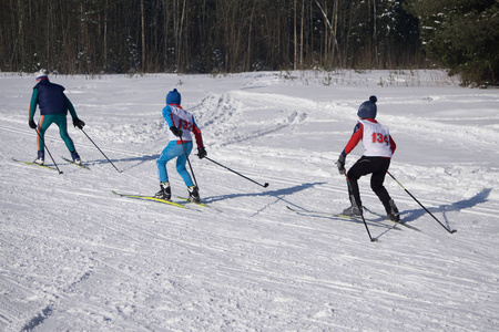 成年男子自由滑雪者