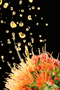 液体的香气图片-液体的香气素材-液体的香气插画-摄图新视界