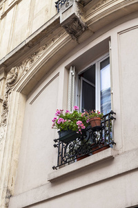 法国巴黎，2008年10月26日，历史建筑立面的典型建筑细节。