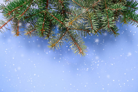 圣诞节和新年快乐假期背景与天然杉木云杉蓝色背景冬季贺卡概念与复制空间的文本。 节日旗帜