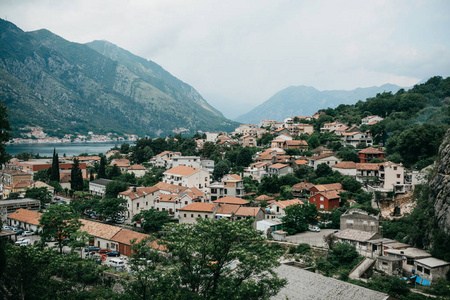 kotor 的鸟图黑山亚得里亚海沿岸的一座城市