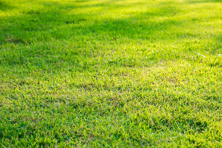 足球和足球运动的绿草地背景.绿色草坪图案及纹理背景.特写图像.