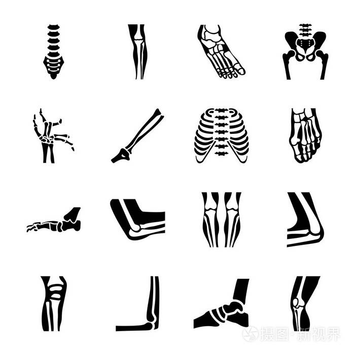 这个丰富的骨科和脊柱矢量集合,使一个惊人的包在您的范围内.把