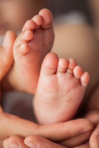 s feet in the mother hands. Baby. Cozy. Family.