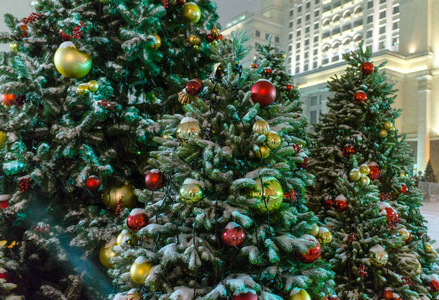 莫斯科曼涅日广场的圣诞树