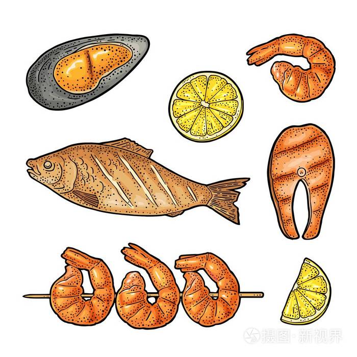 老式彩色矢量雕刻插图. 孤立在白色背景上. 手绘设计元素