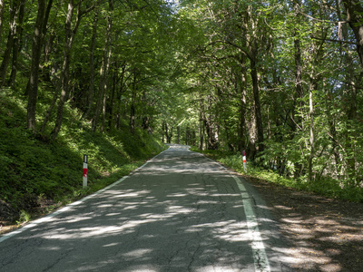 意大利皮埃蒙特山谷夏季沿自行车道的景观
