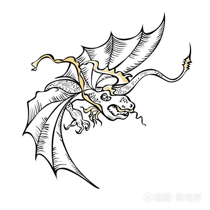 神奇的飞龙黑白色