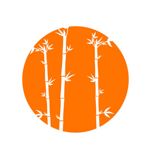 橙色圆圈中的竹茎