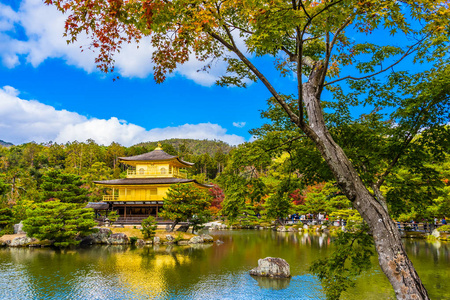 美丽的金阁寺，拥有日本京都的金色帕万地标