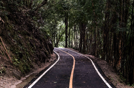 进入泰国国家公园绿色森林的道路人行道