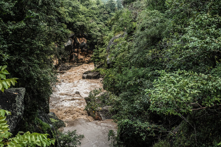 湍急的小溪在高大的森林中被冲刷的石崖上