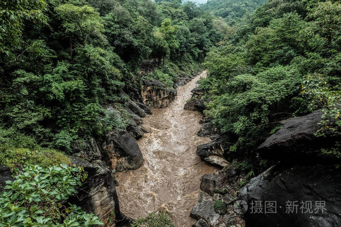 湍急的小溪在高大的森林中被冲刷的石崖上