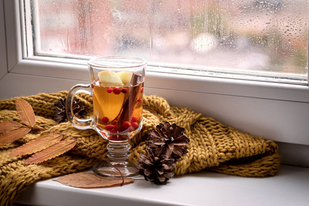 一杯带苹果浆果和肉桂的热酒，靠近窗户，黄色围巾，热饮，供秋季寒冷，雨天，潮湿的概念，秋天的心情