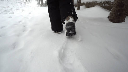 在深雪的山上行走的女人的脚