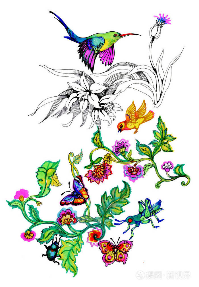 水彩画鸟在树枝上,用花孤立的手绘插图