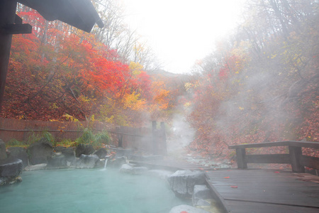 山形背景日本温泉温泉温泉,温泉自然浴,周围是红色的黄色叶子.