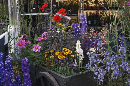 一家花店陈列着五颜六色的鲜花，准备出售