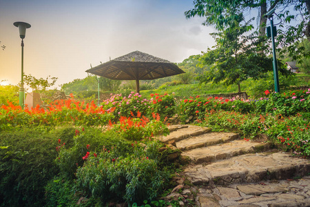 美丽的景观景观，红色的开花在石梯上的山顶上的木伞和装饰照明灯在布宾宫，清迈，泰国。